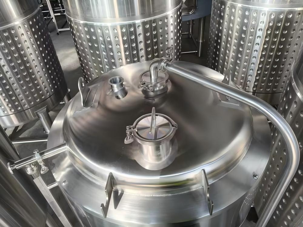 500L Beer Fermentation Tank